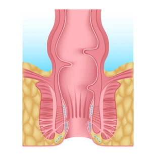 Supports the skin barrier