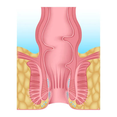 Supports the skin barrier